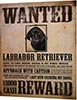 Табличка металлическая 30х40см "Labrador Retriever" (арт.206) ― STARINISM.RU