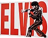 Табличка жестяная эмалированная "Elvis", 30x40см (арт.058)