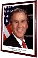 Официальный портрет Президента США (Джордж Буш-мл) (арт.056)